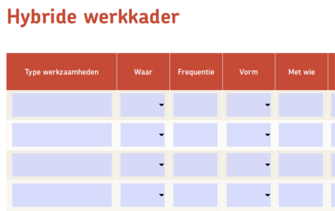 Leidinggeven aan hybride teams Werkkader